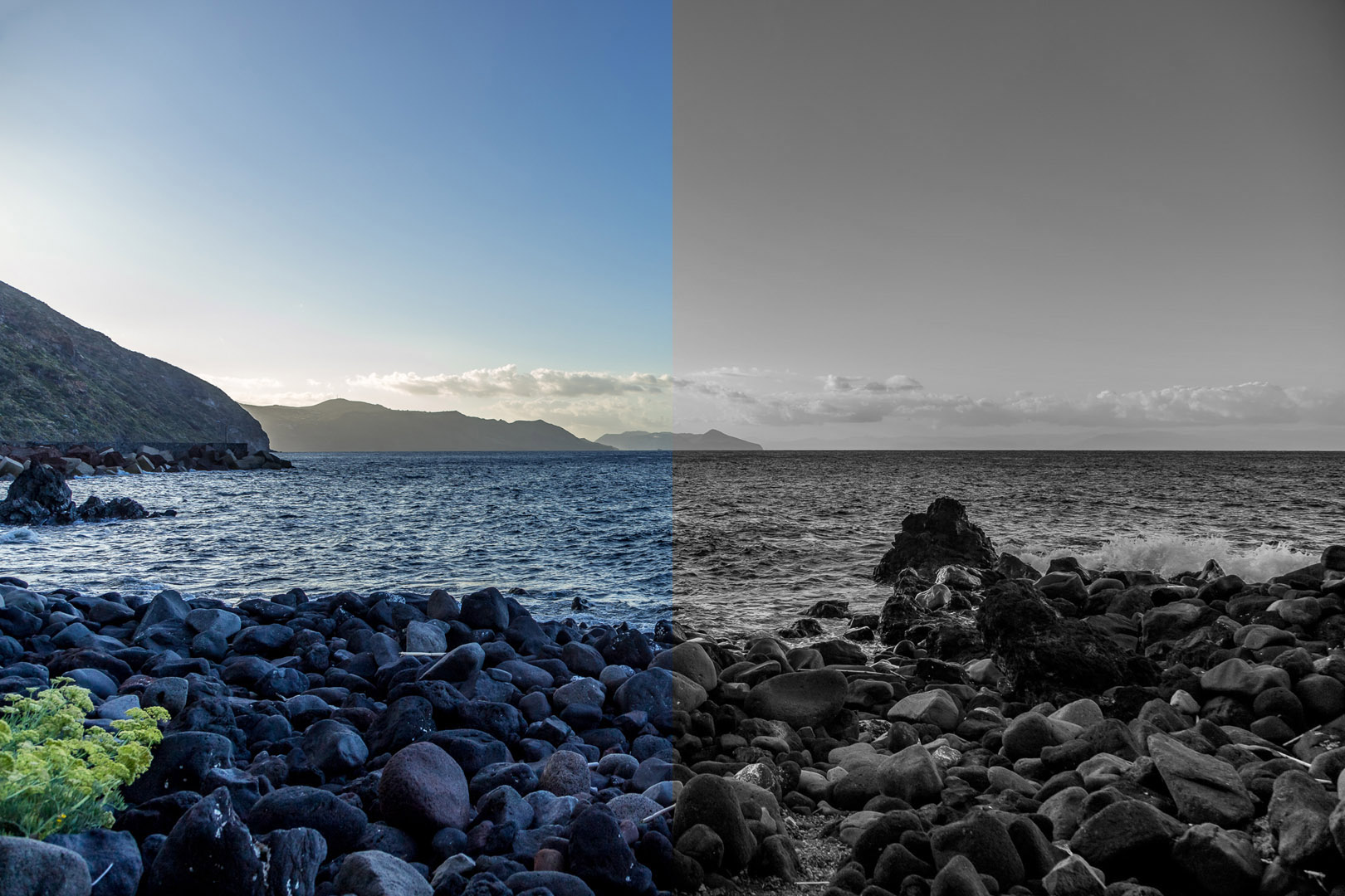 Monochrome vs Colour: Exploring and comparing black & white and colour photography